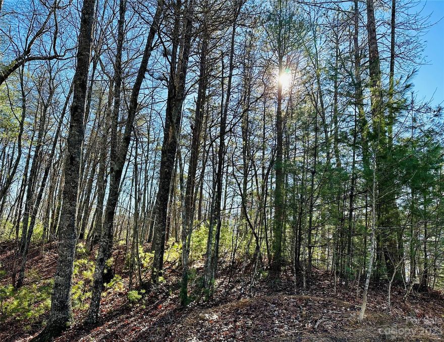 With sunrise and sunset views, this 3.03 acre lot is waiting for you to build your dream mountain retreat! Are you looking for the perfect easy-build site to execute that dream? Look no further! It's not often that you get both views! If you're looking for the perfect location to build your dream mountain home or vacation getaway, you have found it here. French Broad Crossing is a gated conservation community with easy access to Asheville, Hot Springs, and Weaverville, all with activities galore! Enjoy the River Lodge, Fitness Center, Pool, River Park, Treehouse, and miles of walking/ATV trails! Relax and watch the sunset from the River Lodge, gather with family and friends by the fire, or just absorb nature on the trails. This is THE place to check out of the daily hustle and bustle and take a deep breath! Fiber Optic cable has also been wired throughout the neighborhood. FBC has a designated medical helicopter landing zone.