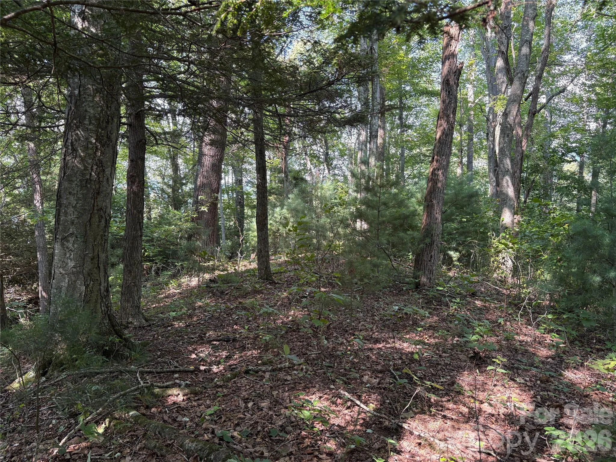 00 Early Frost Place Unit 98, Waynesville, NC, 28785