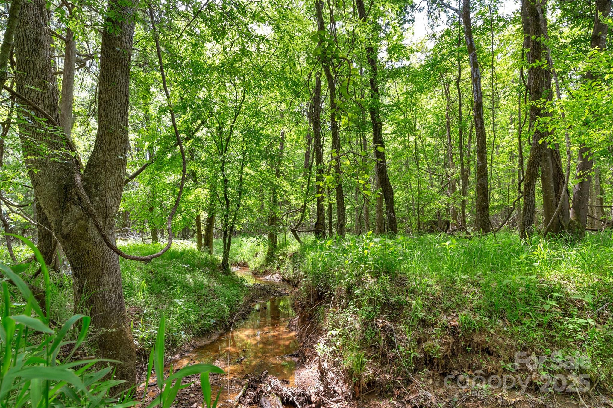 0000 Green Road
