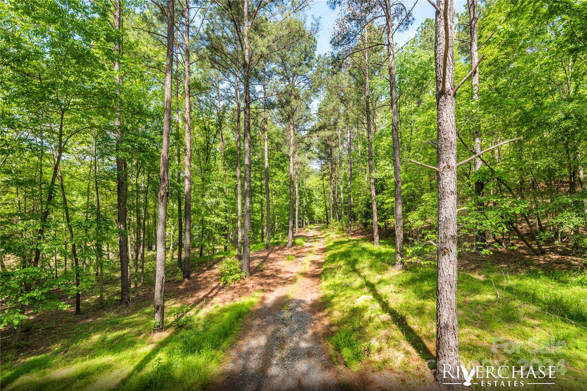 Riverchase Estates - Residential