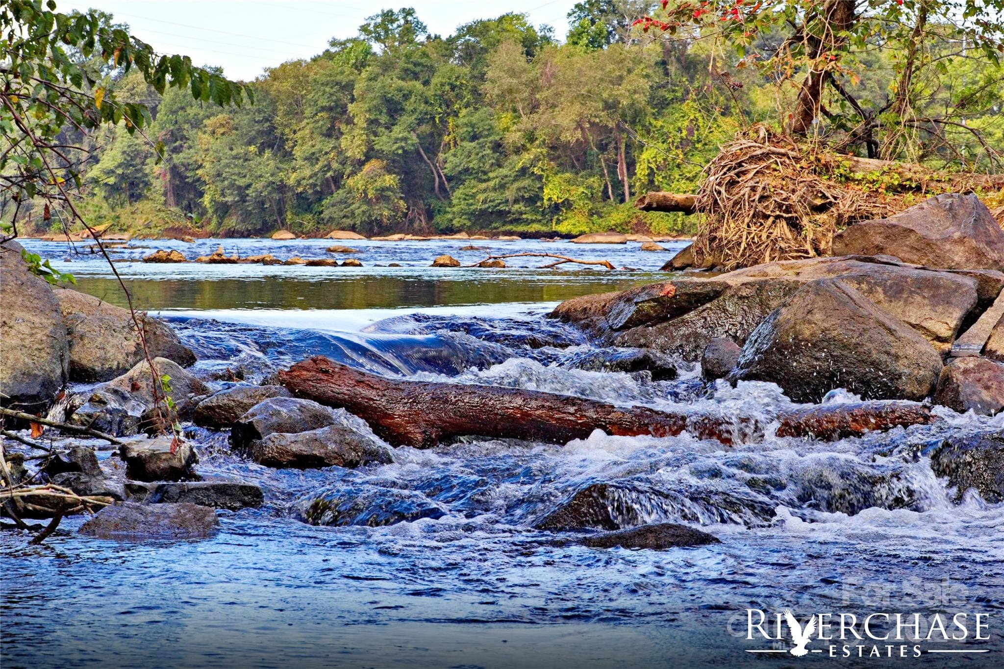 Riverchase Estates - Residential