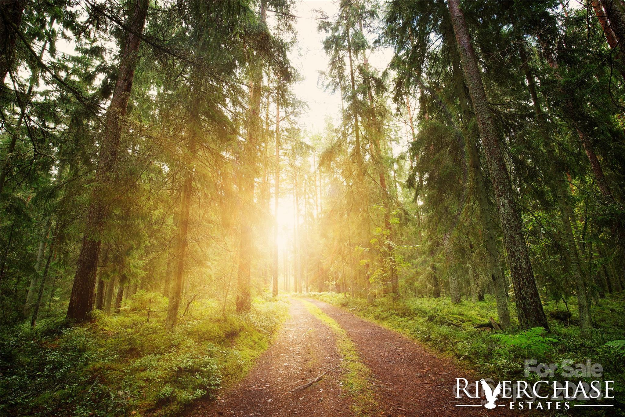 Riverchase Estates - Residential