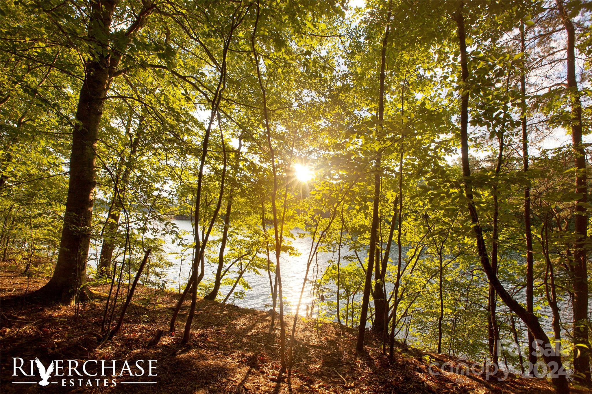 Riverchase Estates - Residential