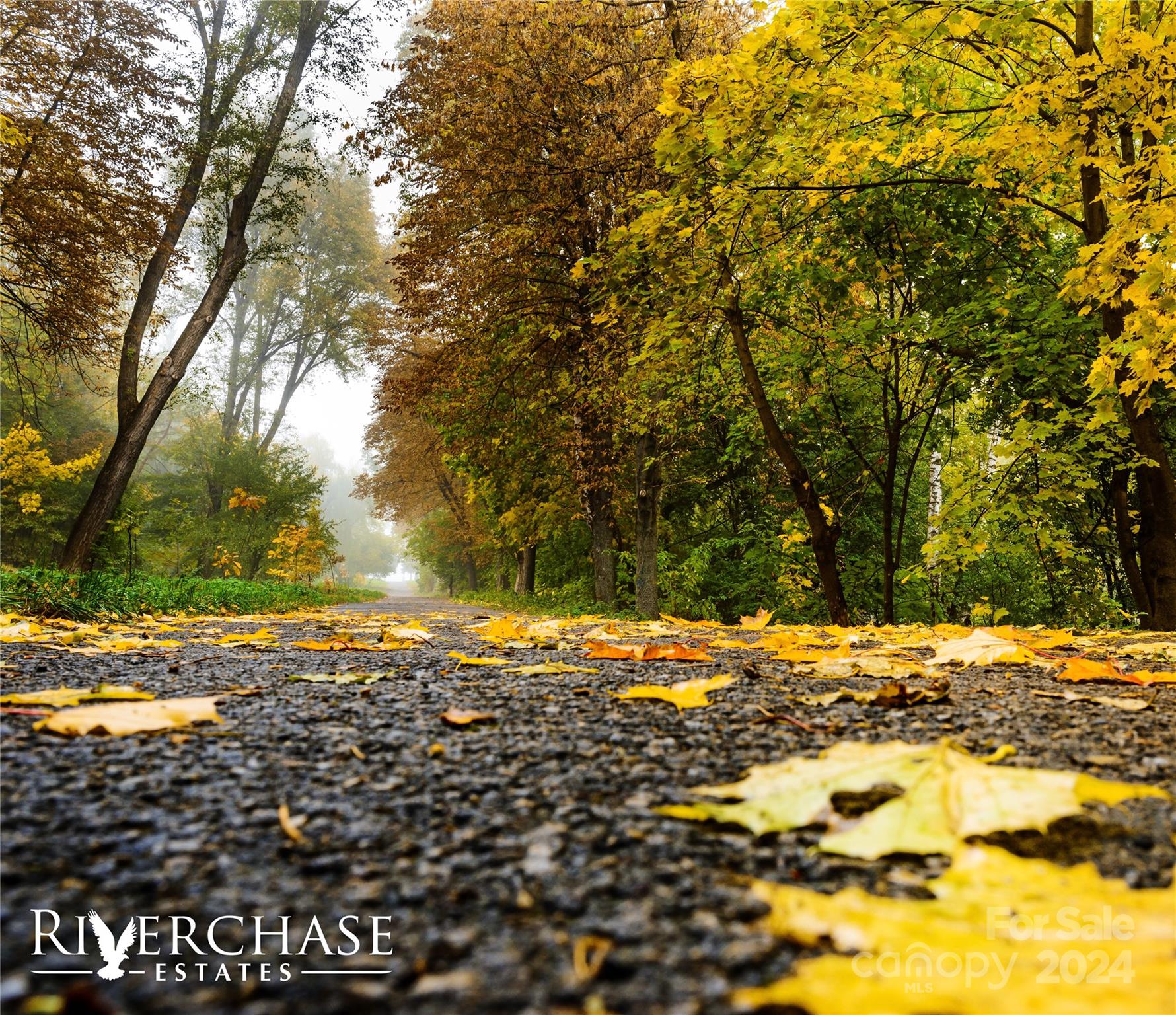 Riverchase Estates - Residential