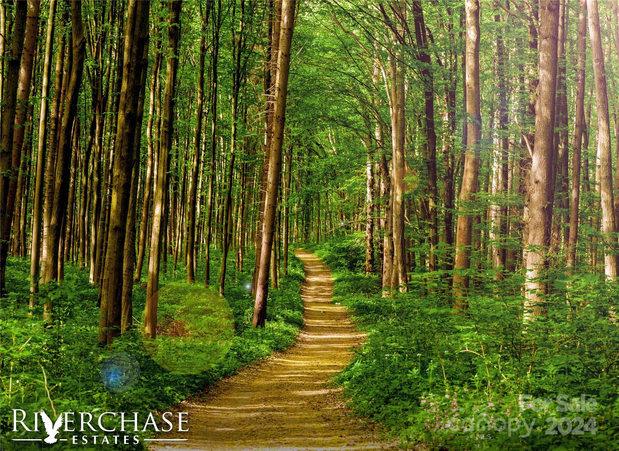 Riverchase Estates - Residential