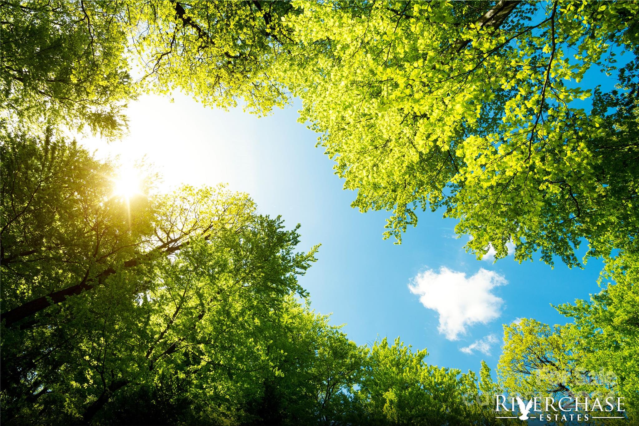 Riverchase Estates - Residential