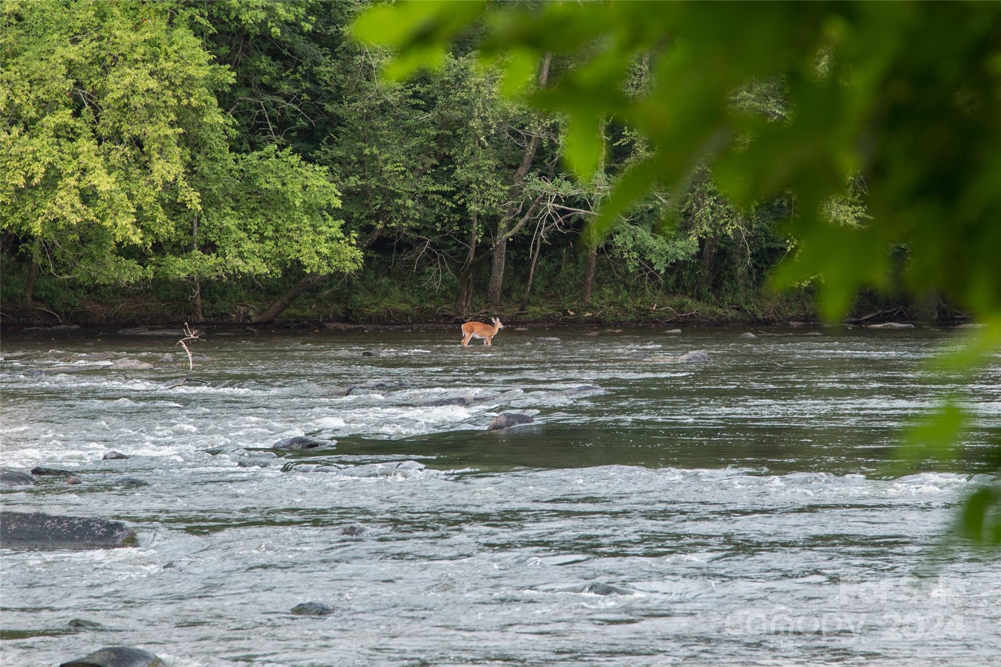 Riverchase Estates - Residential