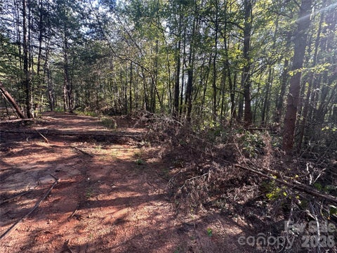 Photo of 84 Sunrise Trail, Lincolnton, NC 28092 (MLS # 4429881)