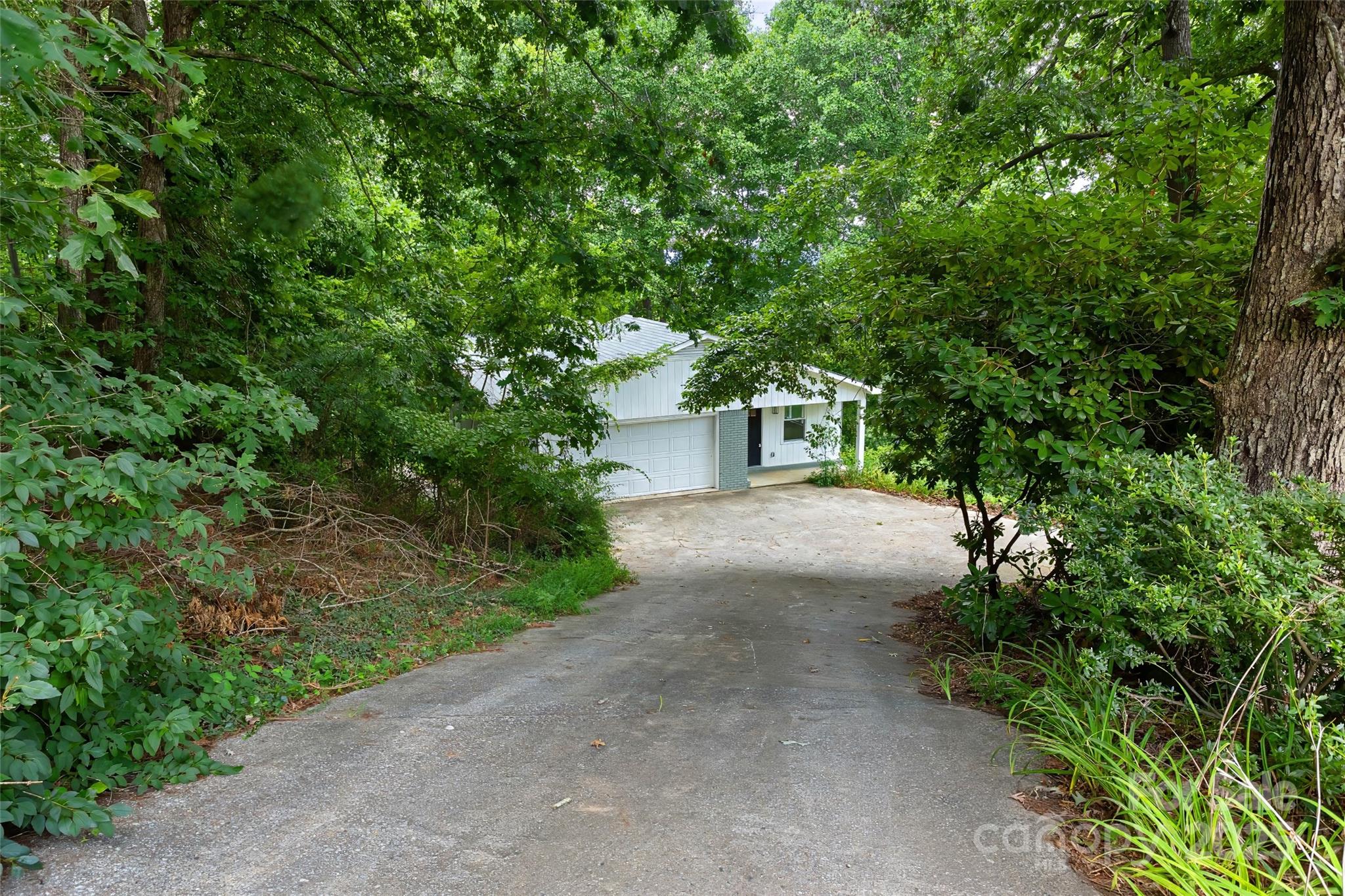 240 Spicewood Lane