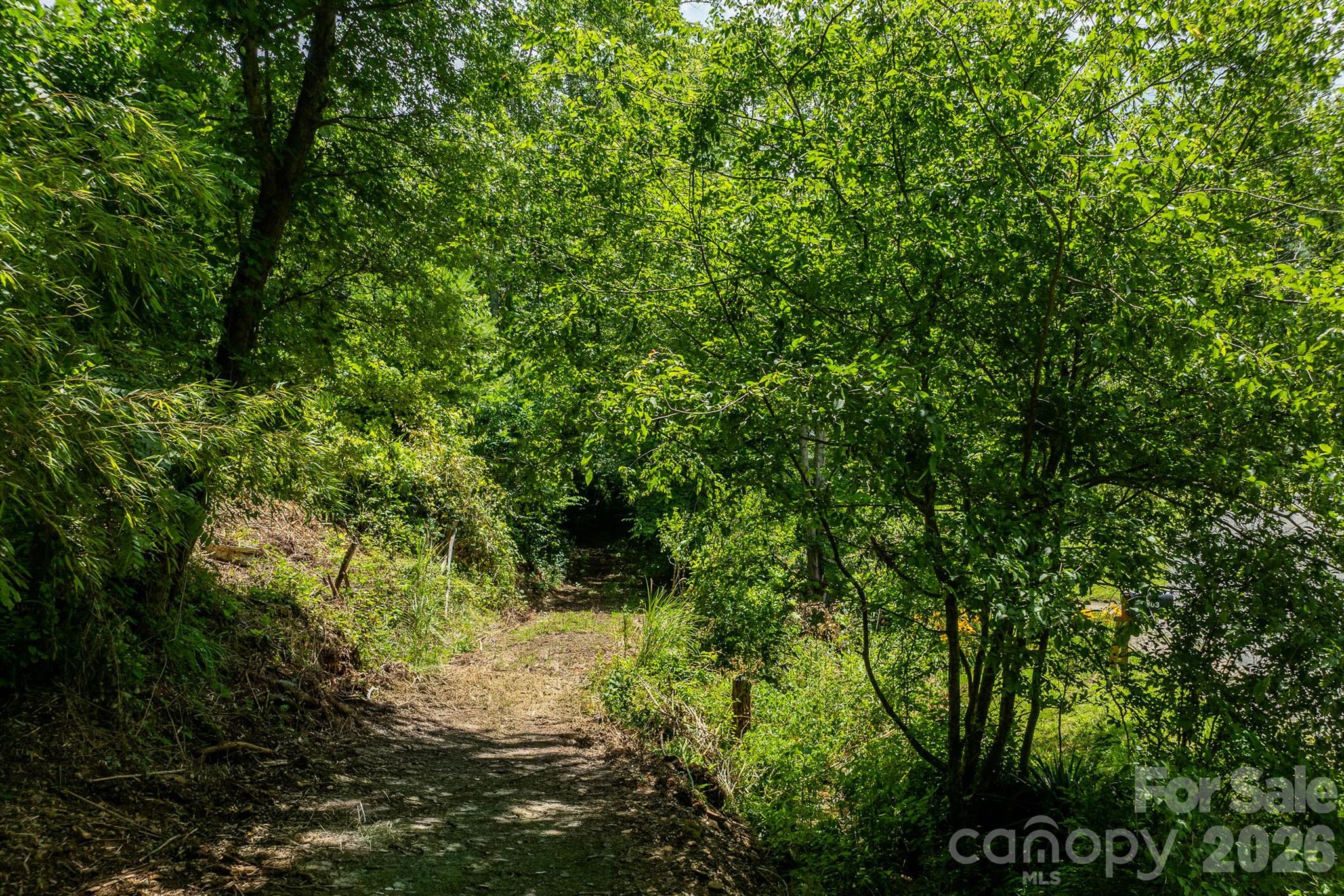 789 Jarrett Cove Road
