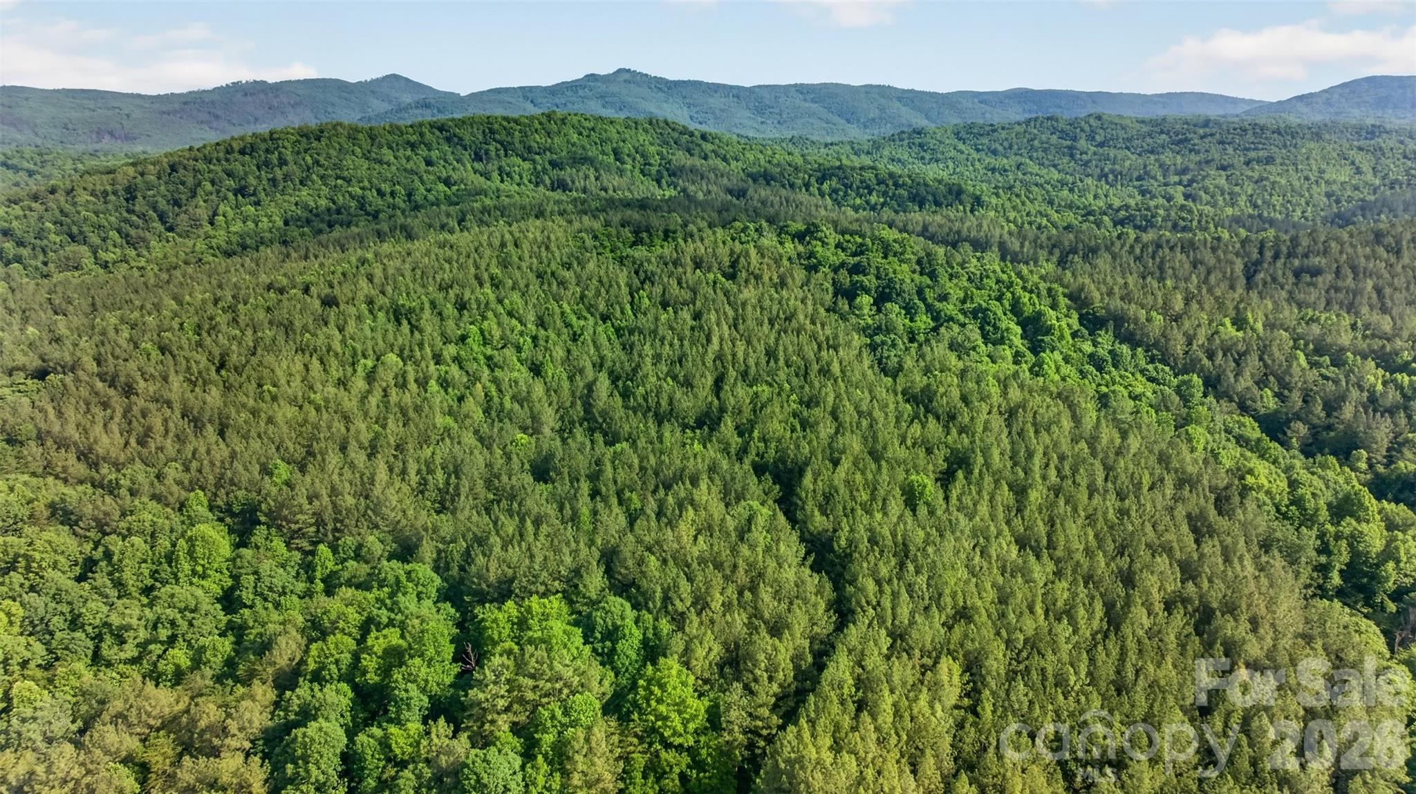 485 Frog Creek Road