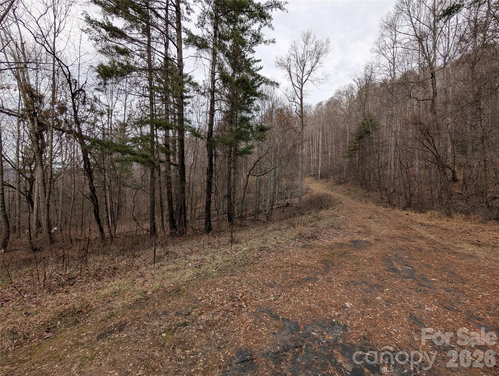 000 Wild Turkey Pen Road