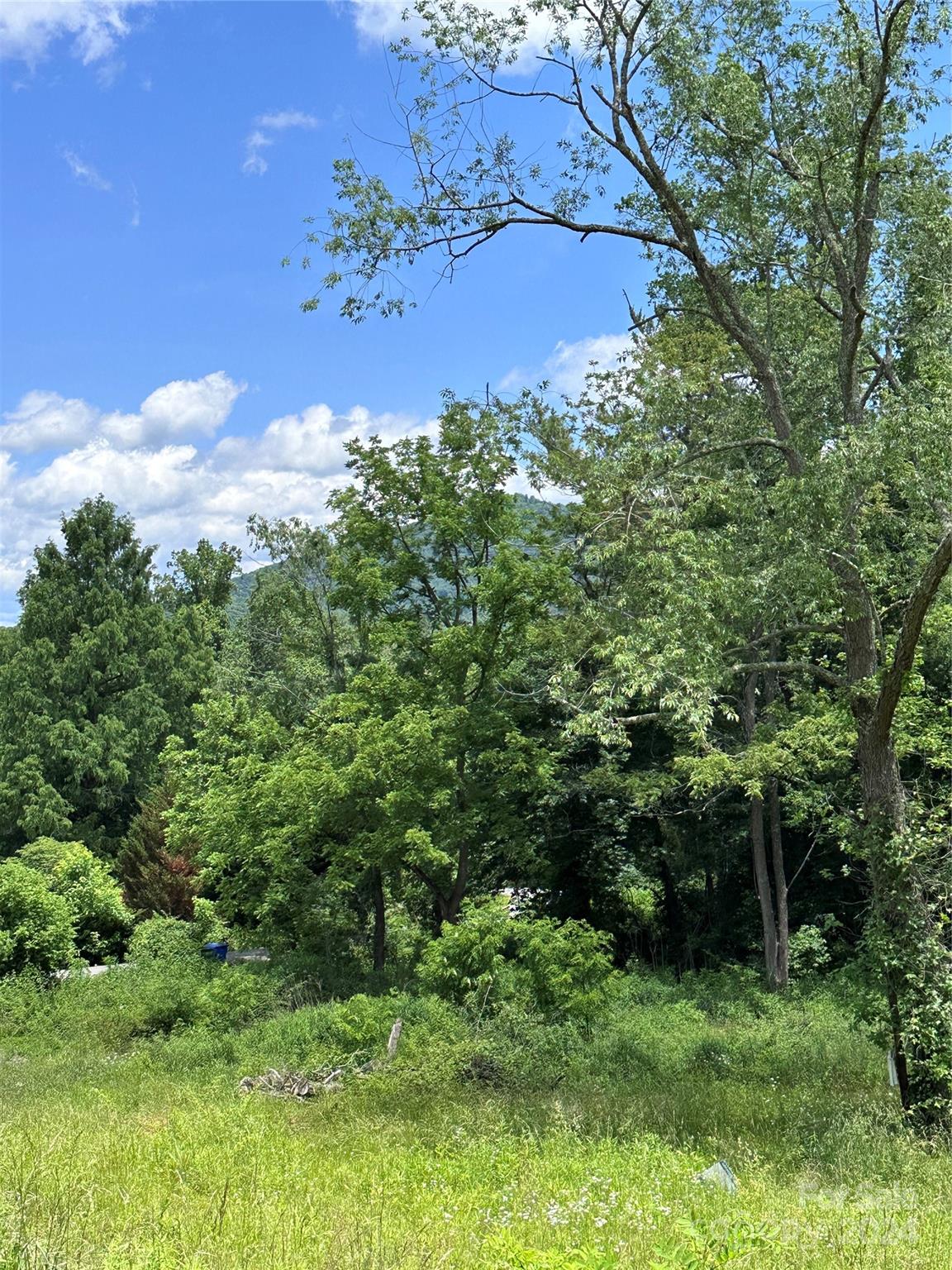 105 Round Table Trail 6