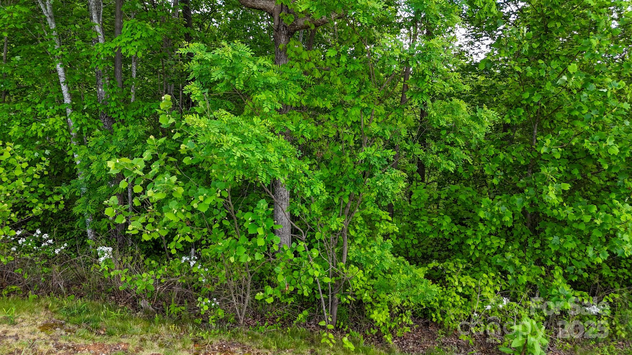 The Coves Mountain River Club - Land