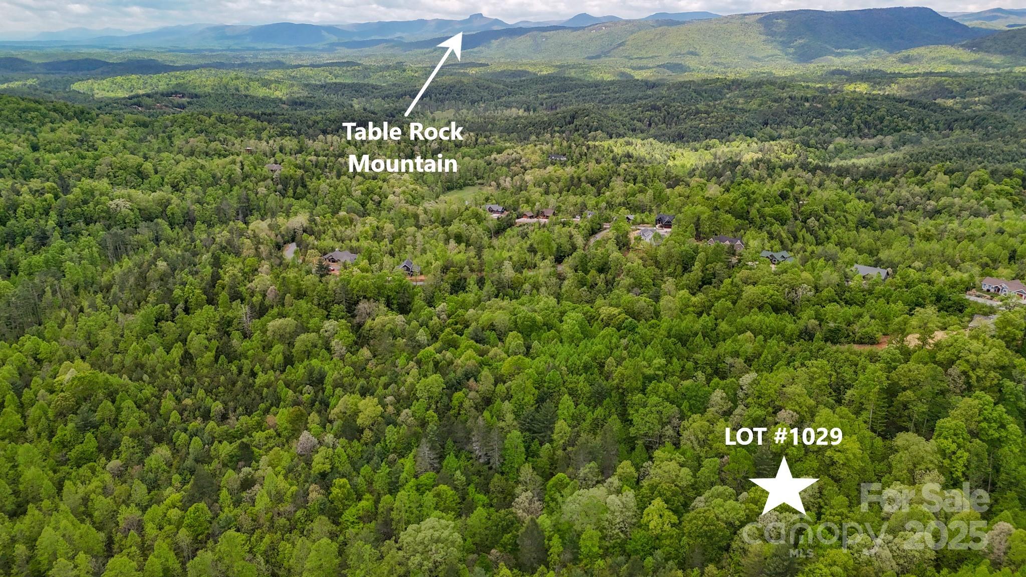 The Coves Mountain River Club - Land