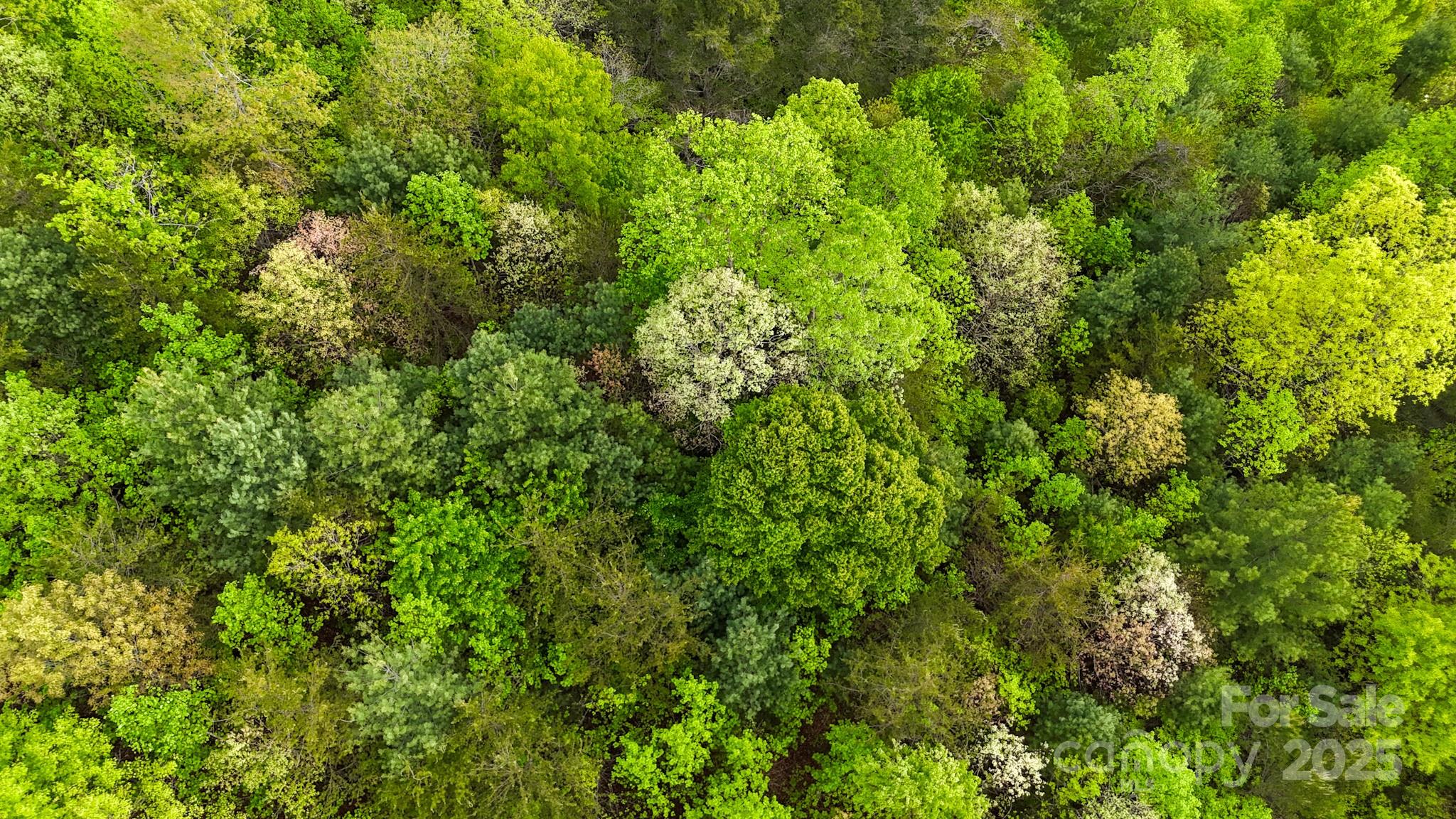 The Coves Mountain River Club - Land