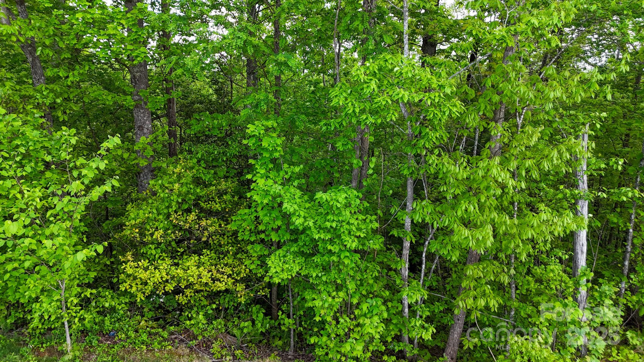 The Coves Mountain River Club - Land