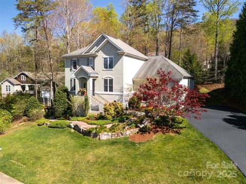 7 White Palmer Court Biltmore Lake NC 28715