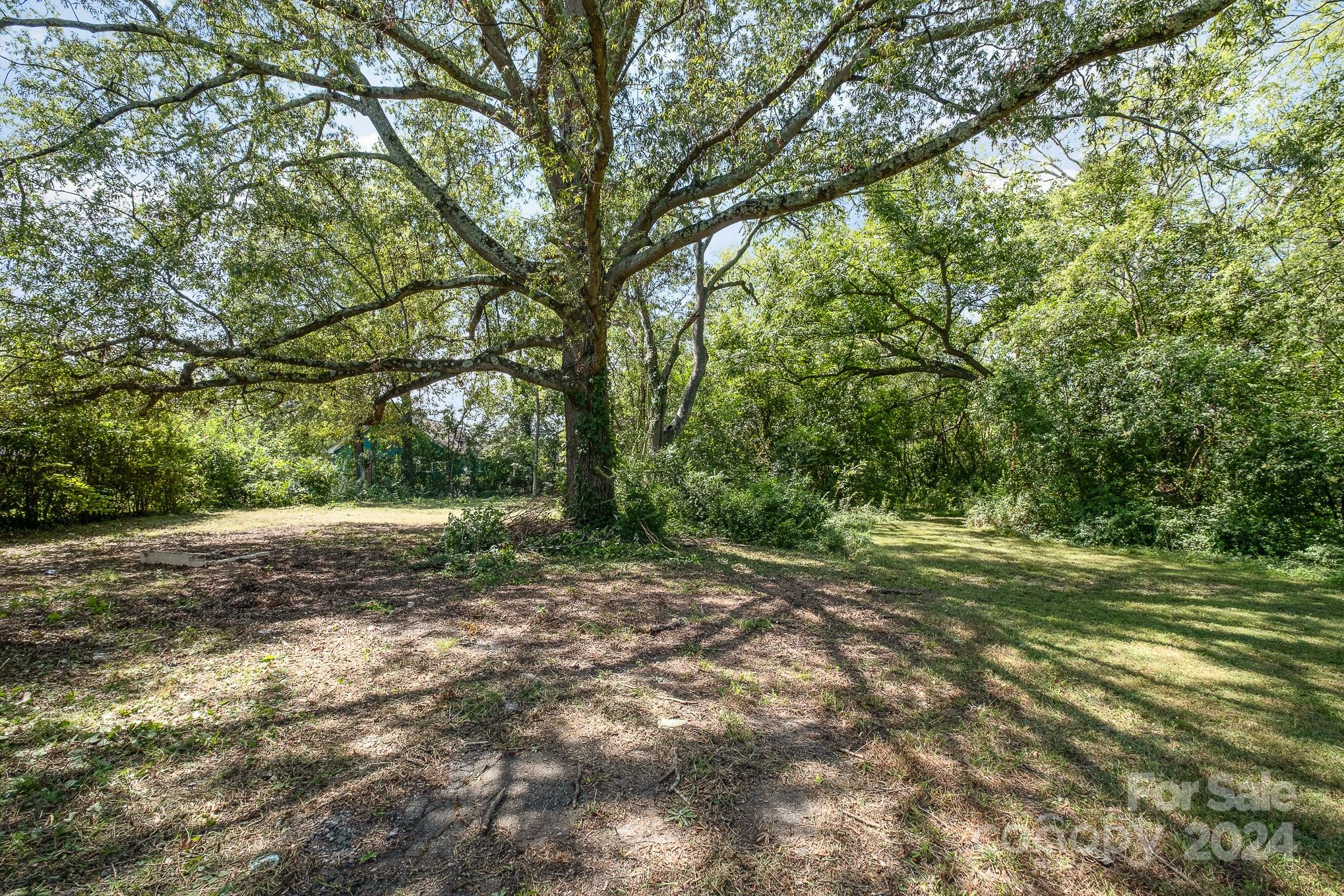 Woodland Park - Residential