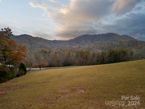 99999 Davistown Church Road Old Fort NC 28762