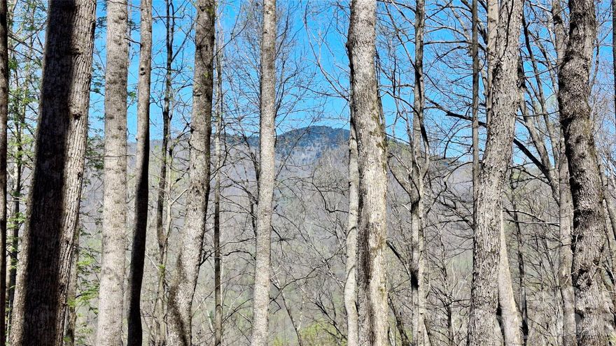 Discover the ultimate mountain escape with this 12.61-acre unrestricted tract, perfectly situated at a refreshing 3,500-foot elevation for cooler summer days and crisp mountain air. This rare property offers a blend of accessibility and raw natural beauty, featuring an interior road that spans the entire length of the land and a lush canopy of mature timber. While the lower sections provide a serene woodland setting with mountain views, the topography builds to a dramatic ridgeline where the vistas open up into even more spectacular, long-range panoramas. The lack of restrictions provides a blank canvas for your vision, whether you’re dreaming of a private estate, a family compound, or a high-elevation retreat. Strategically located between the vibrant mountain towns of Sylva and Waynesville, you’ll enjoy the peace of a secluded mountain lifestyle without sacrificing convenient access to local dining, shopping, and outdoor recreation. This is a unique opportunity to own a significant piece of the Blue Ridge, offering the perfect balance of elevation, privacy, and freedom.