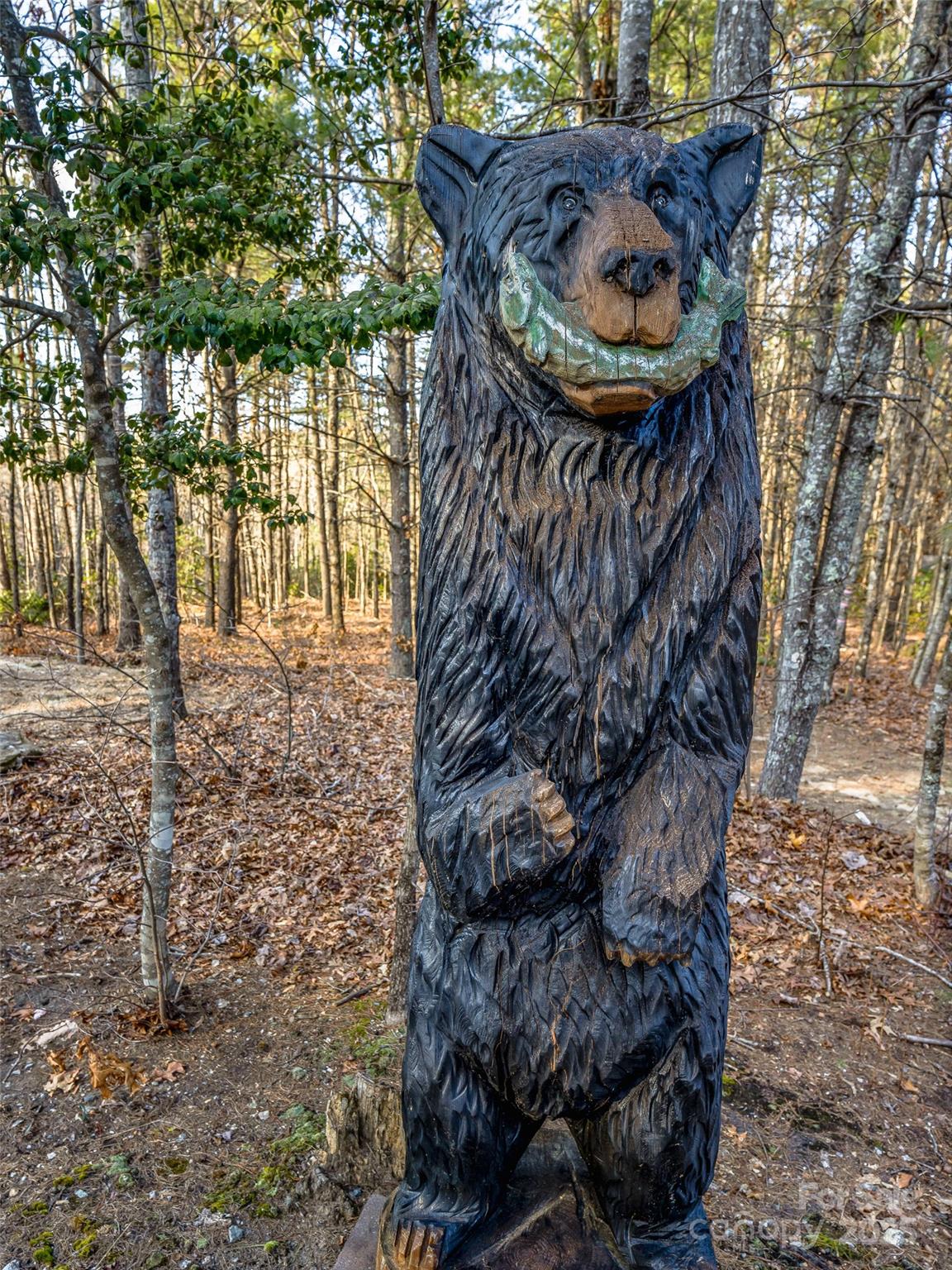 Headwaters Lake - Residential