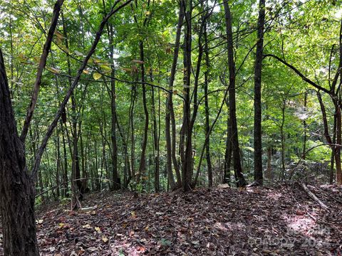 0 Old Forge Drive 94 Bostic NC 28018