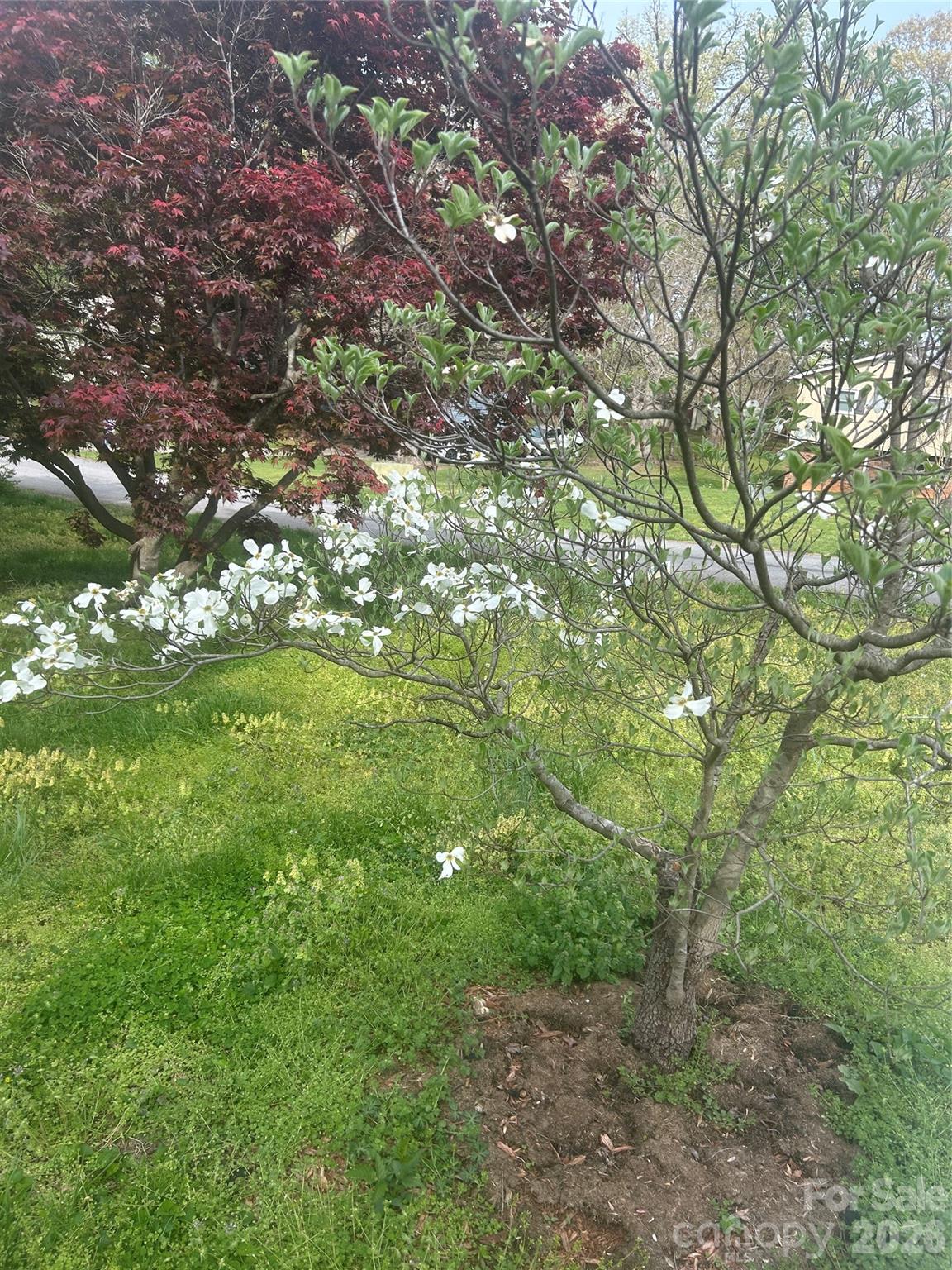 Oakwood Forest - Residential