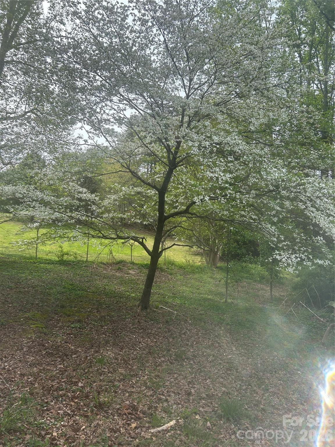 Oakwood Forest - Residential