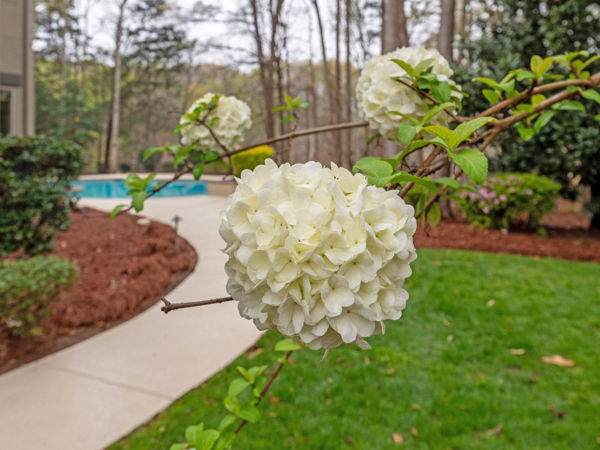 Firethorne - Residential