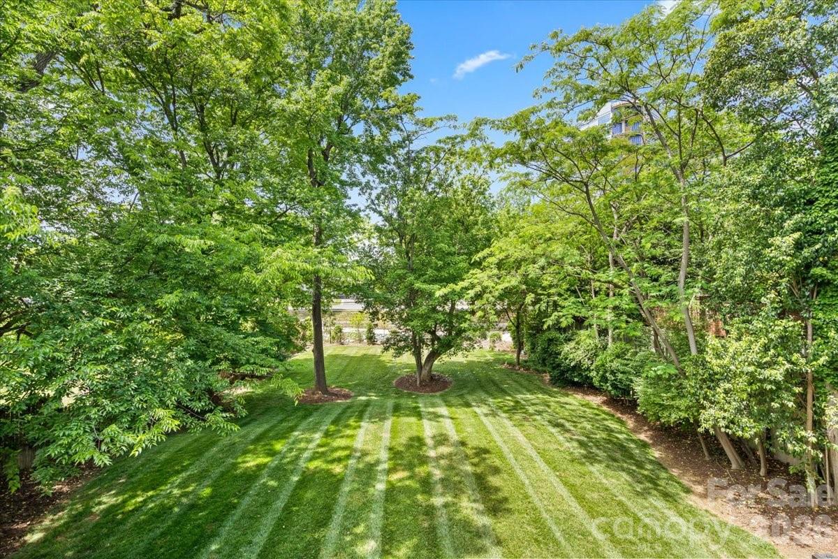 Myers Park - Residential
