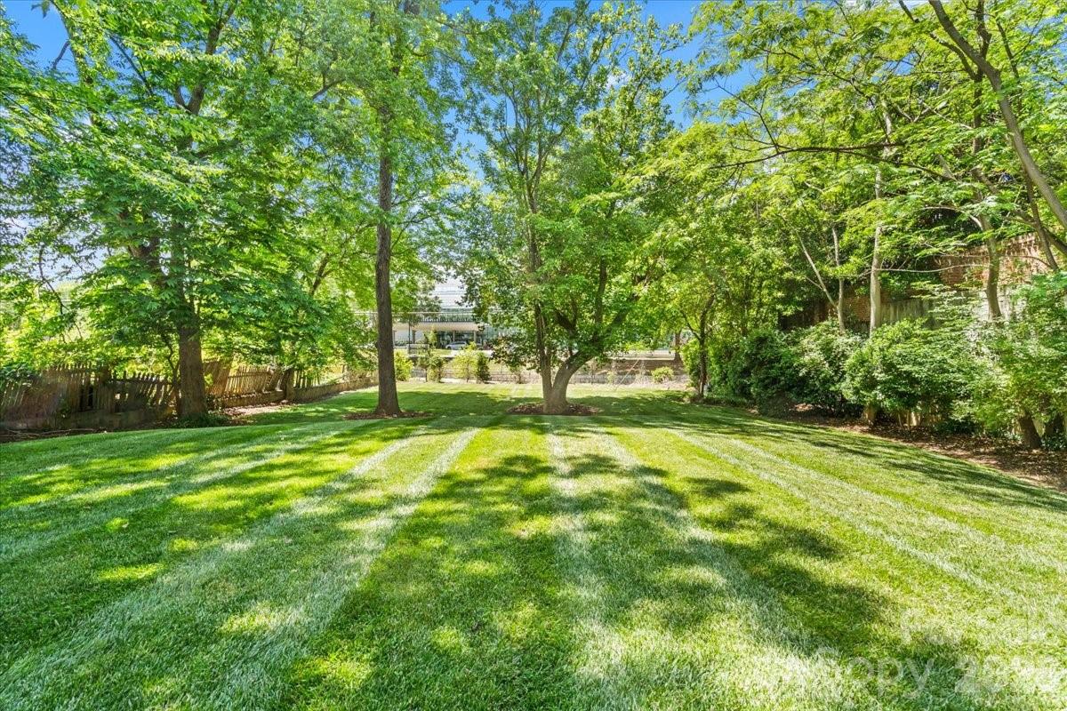 Myers Park - Residential