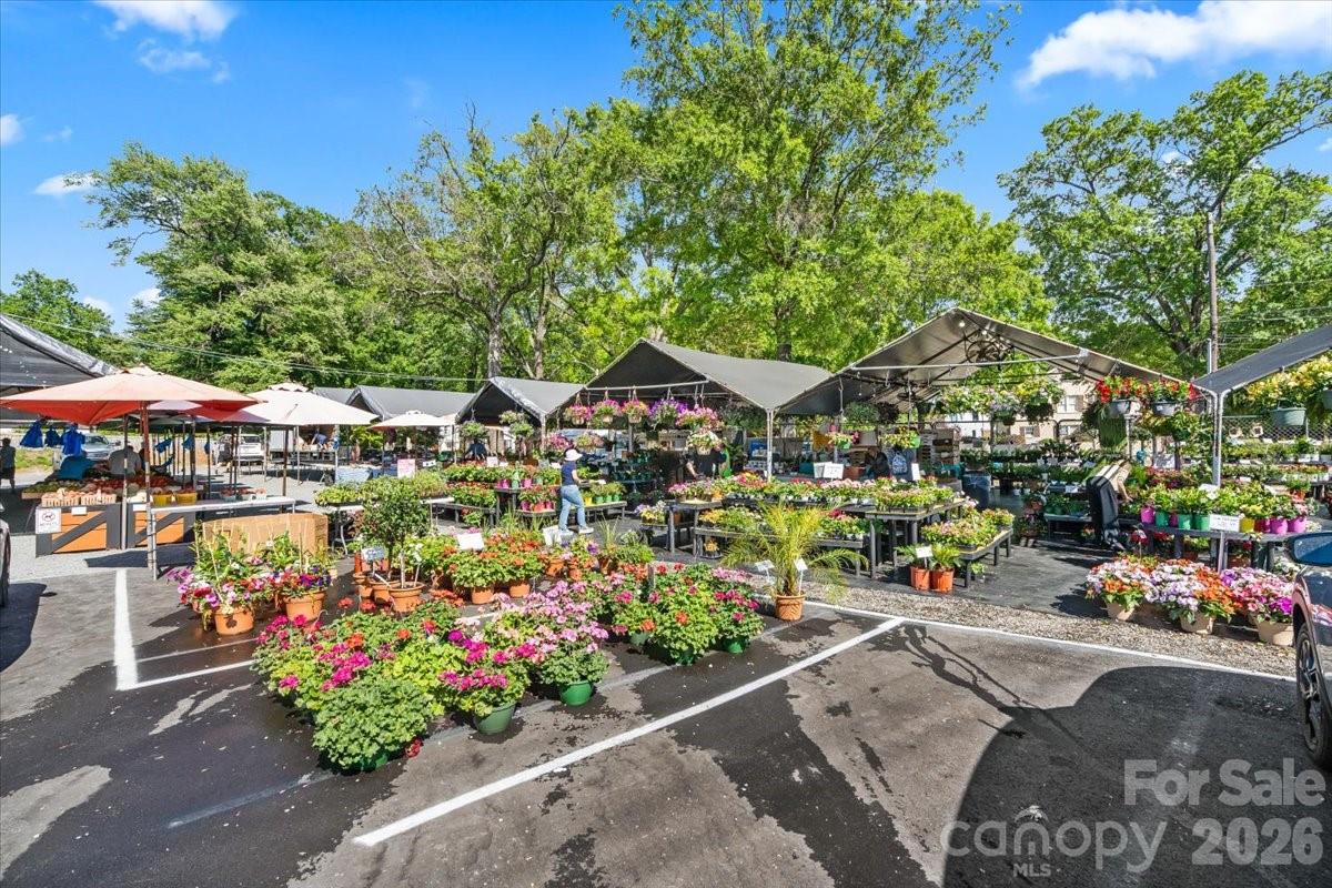 Myers Park - Residential