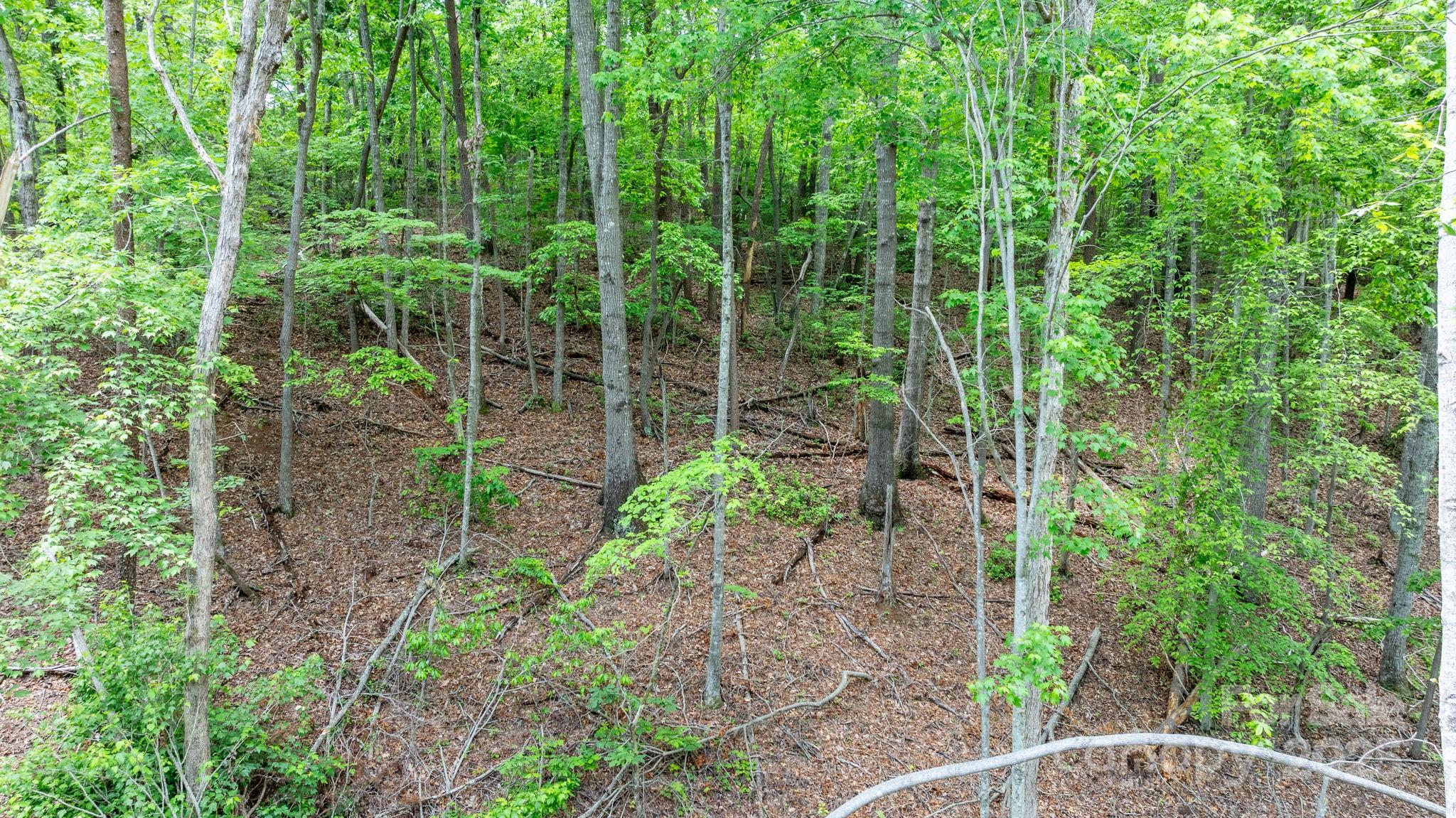 Blackberry Creek - Land