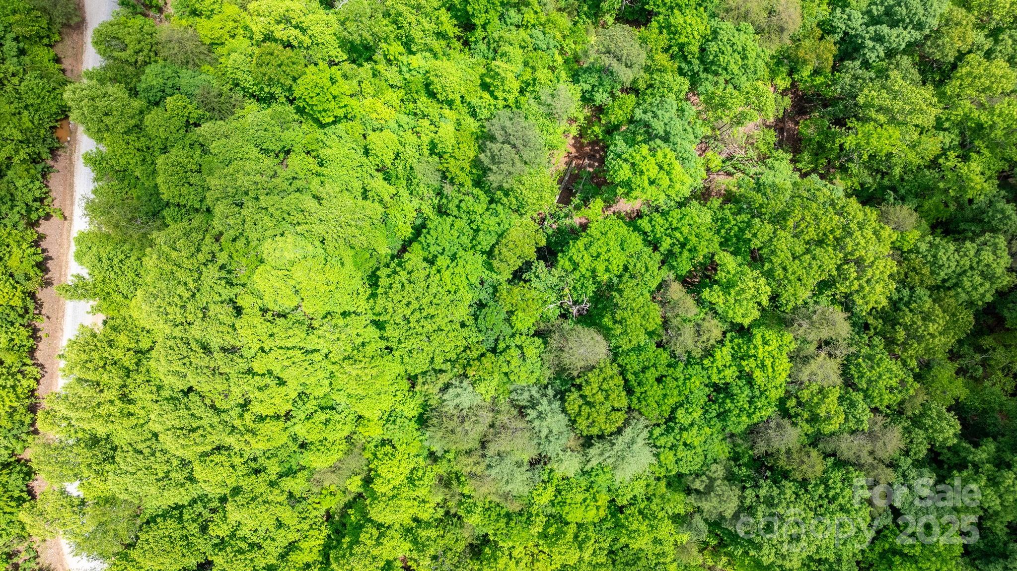 Blackberry Creek - Land