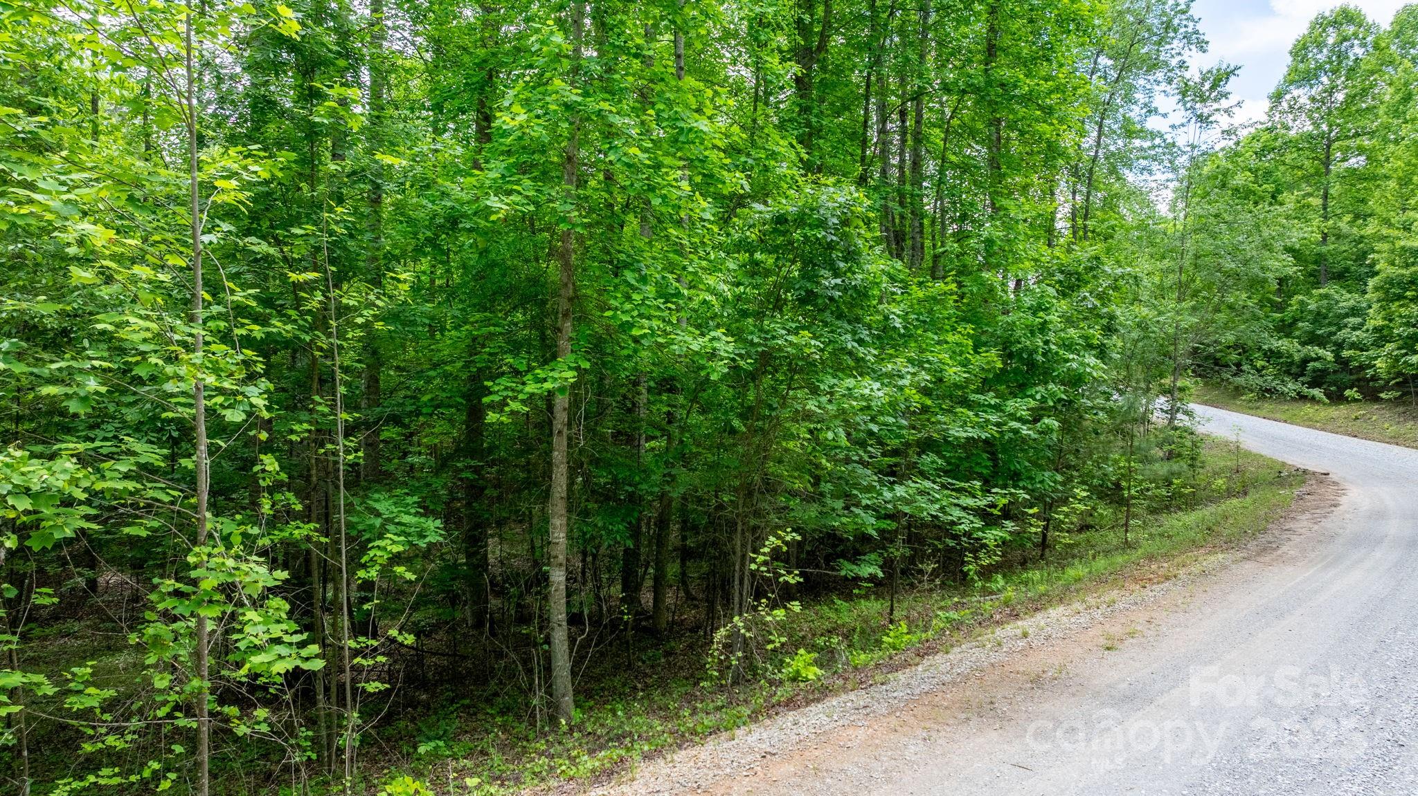 Blackberry Creek - Land