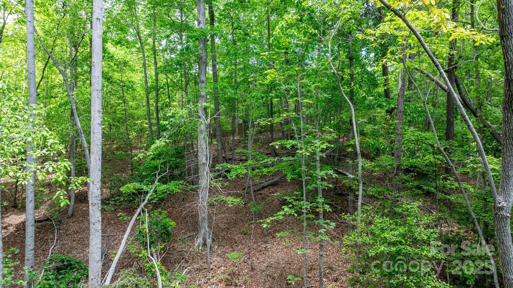 Blackberry Creek - Land