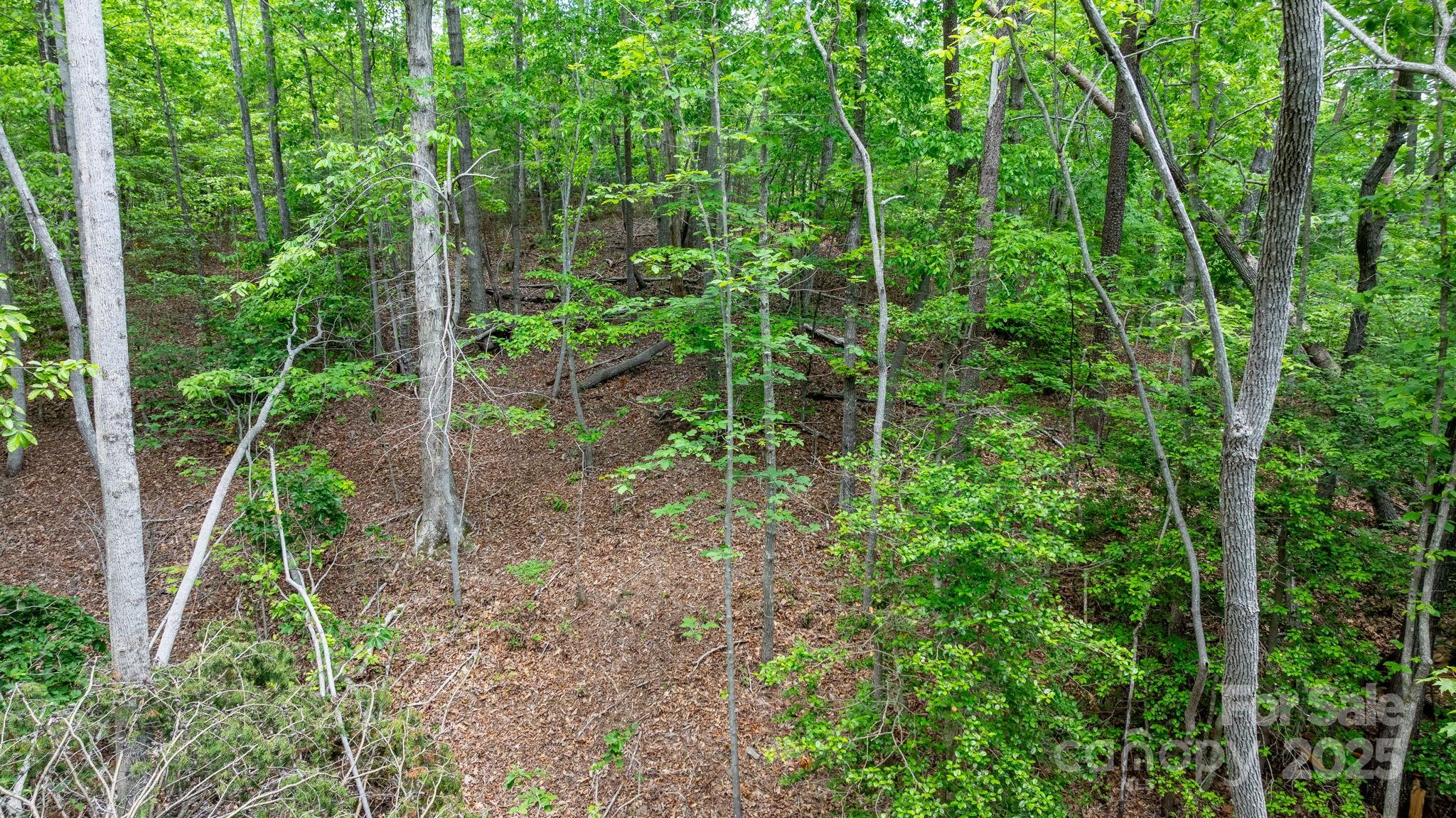 Blackberry Creek - Land