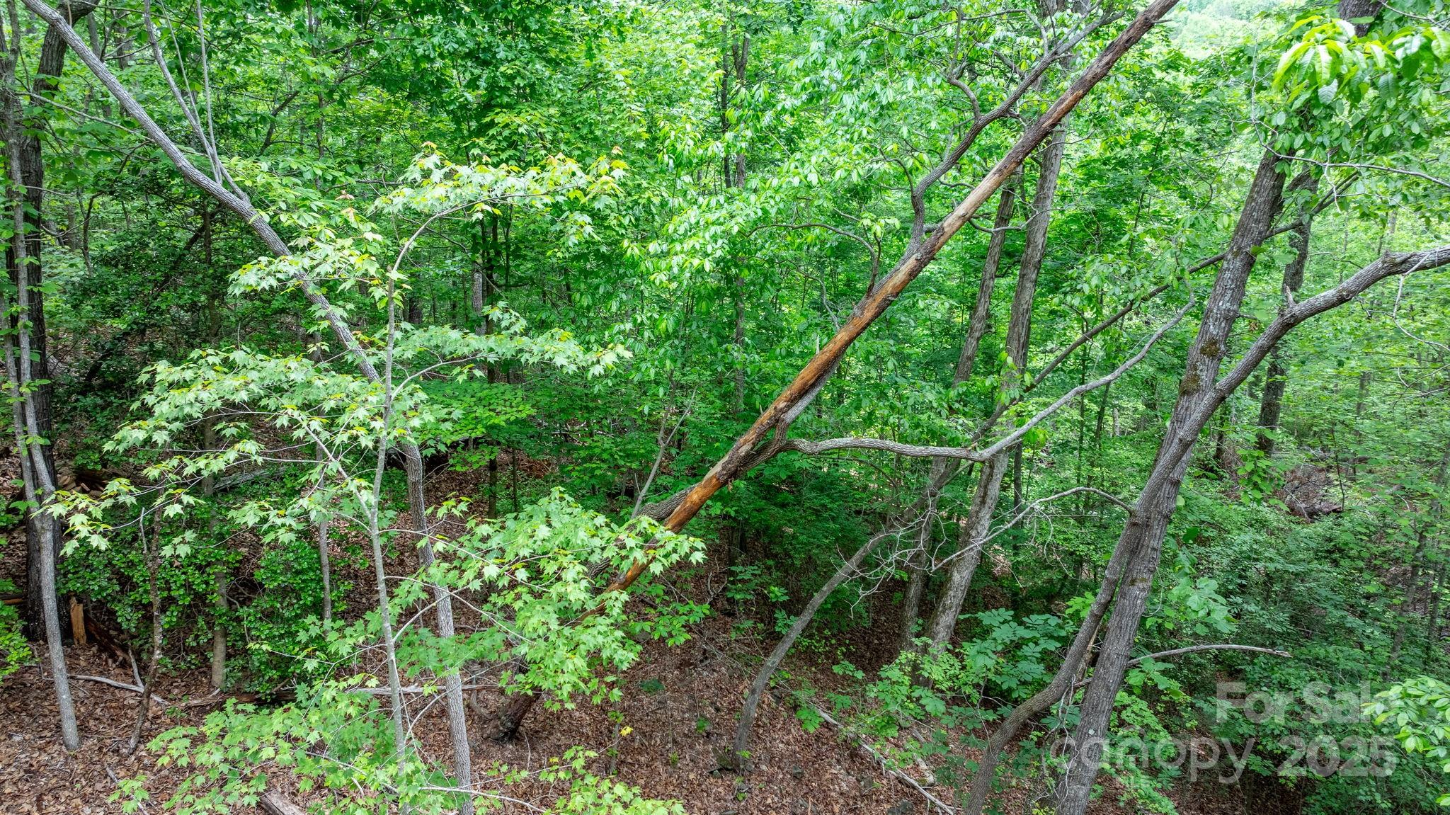 Blackberry Creek - Land