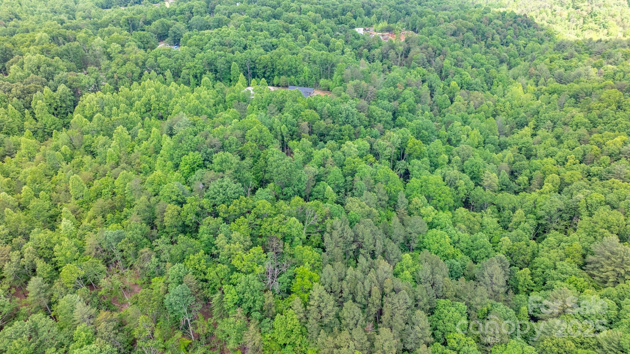 Blackberry Creek - Land