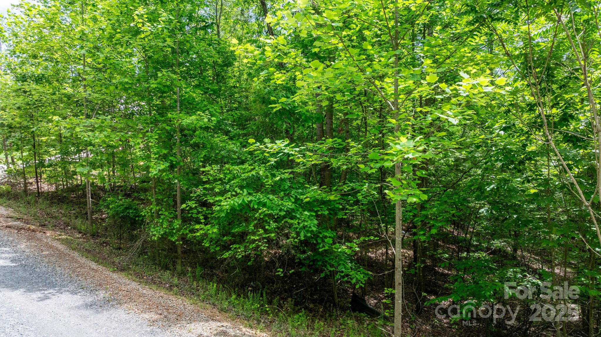 Blackberry Creek - Land