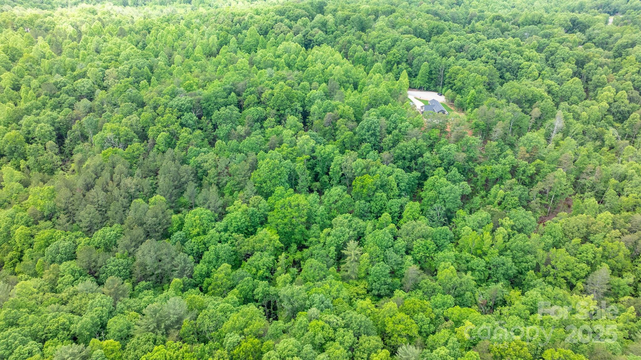 Blackberry Creek - Land