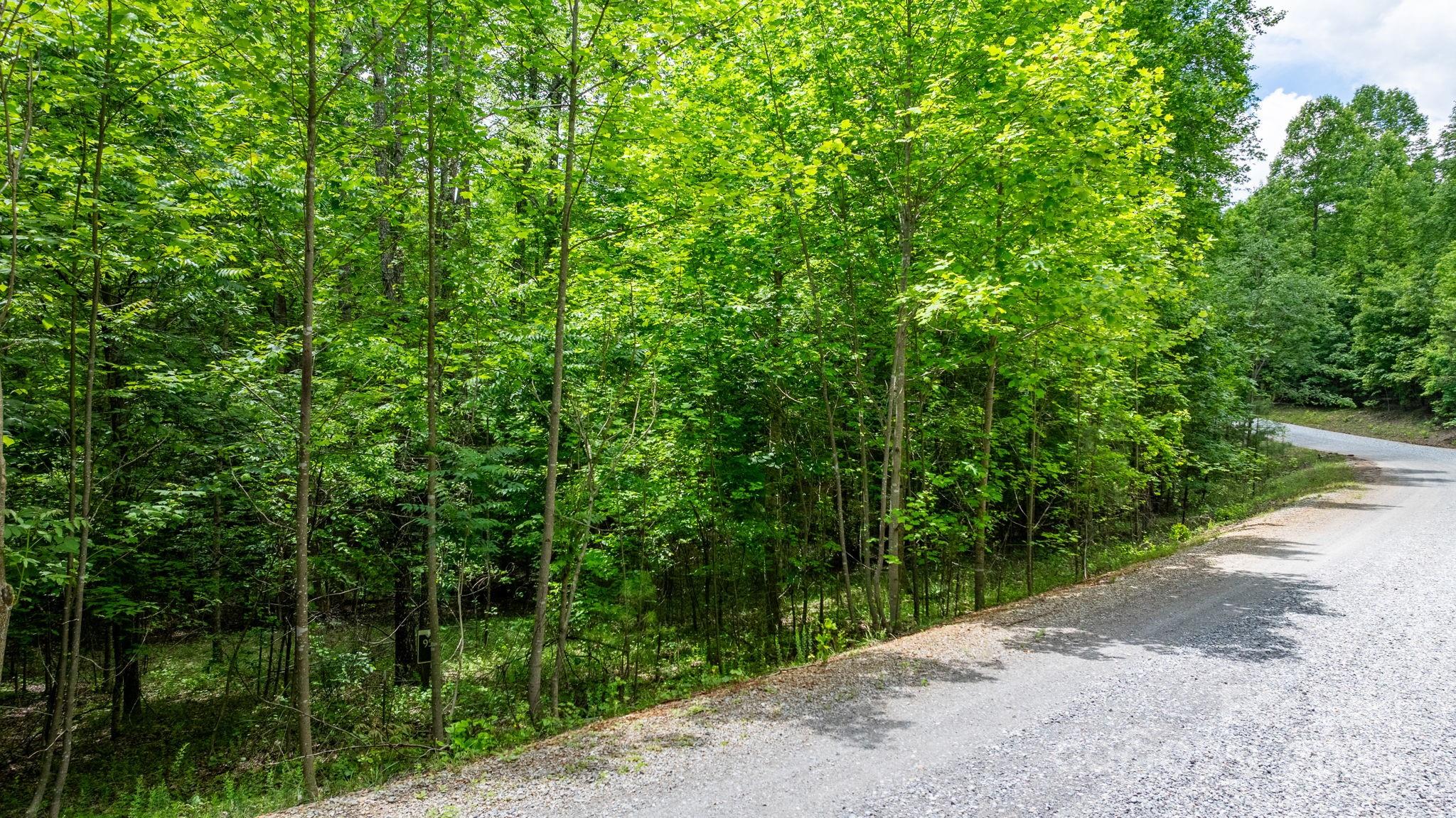 Blackberry Creek - Land