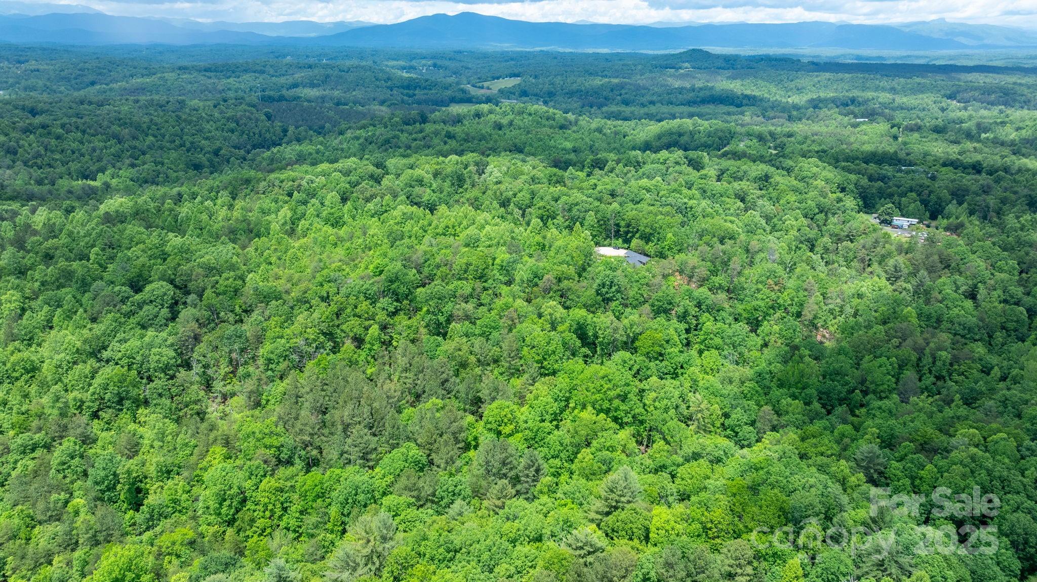 Blackberry Creek - Land