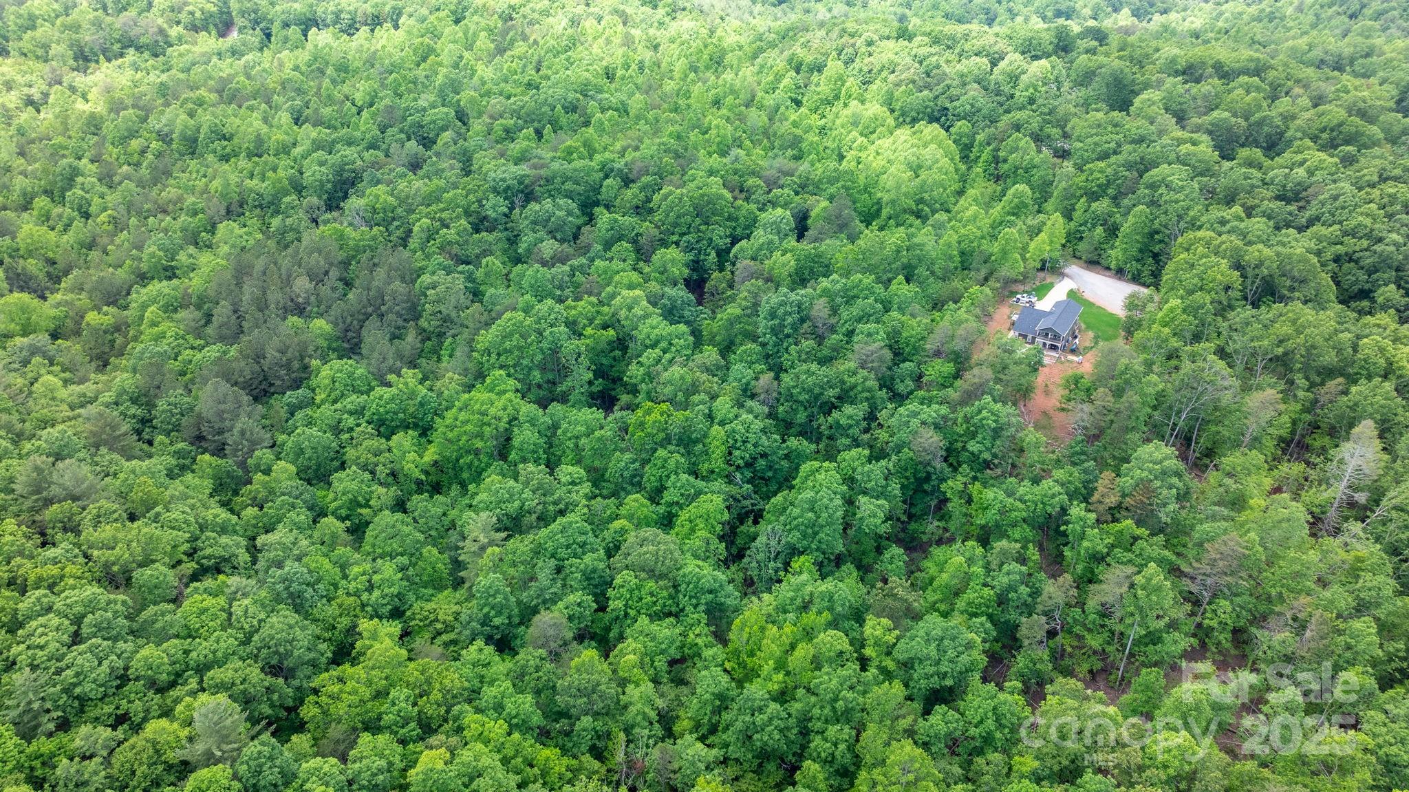 Blackberry Creek - Land