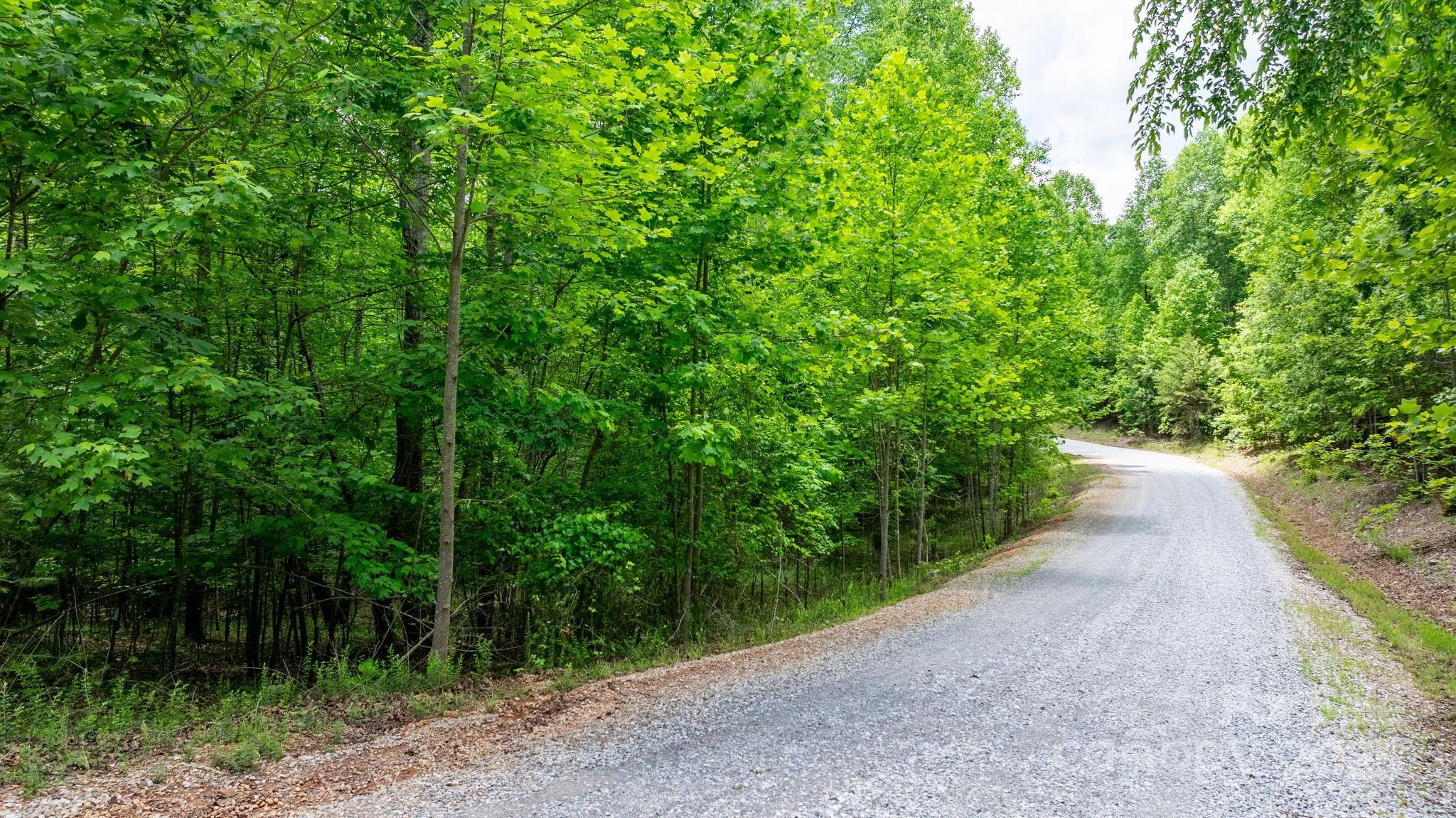 Blackberry Creek - Land