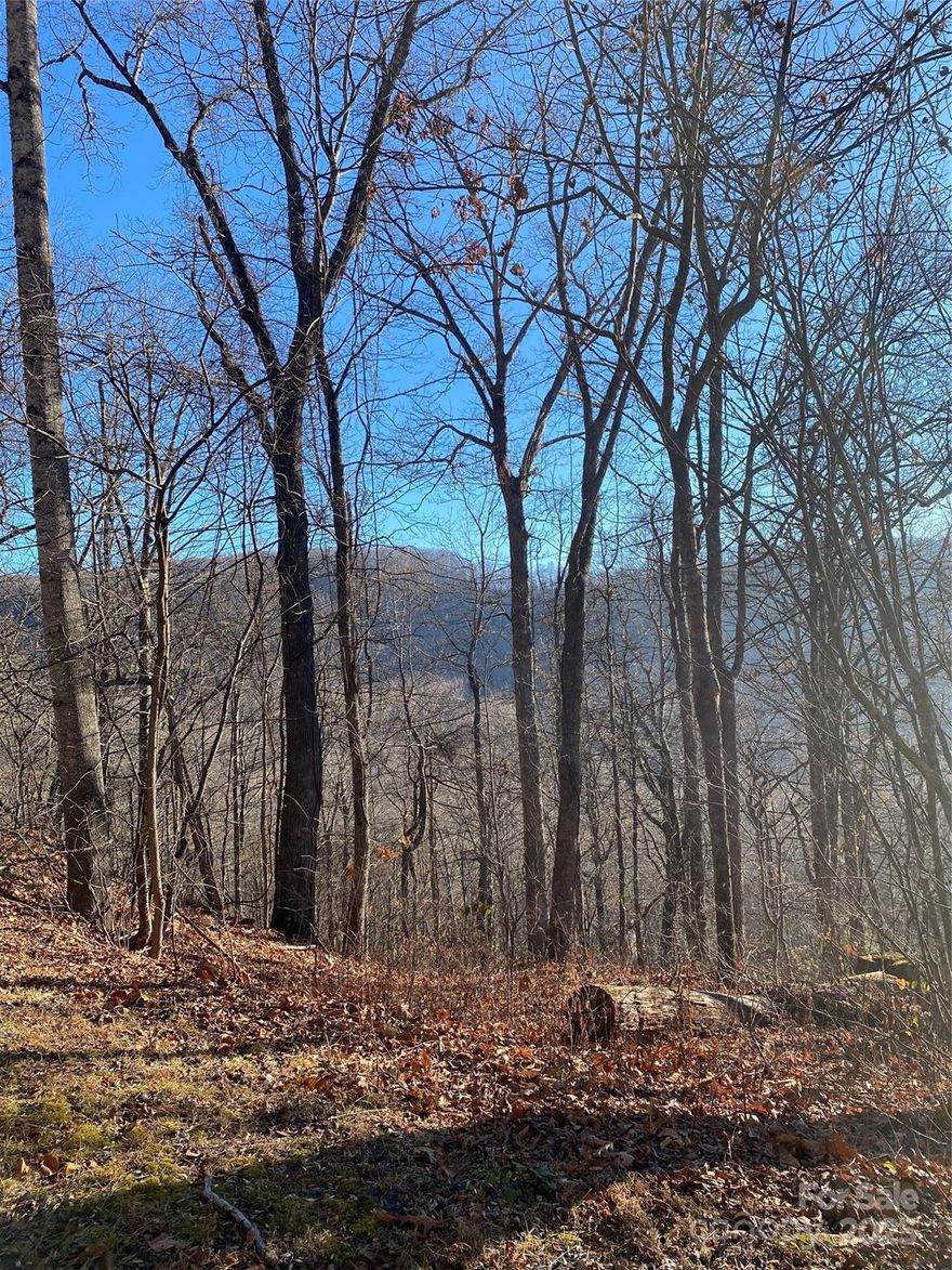 Wake up to the sunrise on this east facing lot.  Over an acre of mountain views abound. Lace Falls is a hidden gem in Henderson County.  20 Minutes to Hendersonville or Lake Lure, 30 minutes to the Asheville Airport.   Motivated seller, dont overlook this affordable buildable view lot.  Access from Laurel creek at top to see 'views.  Gently sloped lower portion of the lot can be accessed via West Woodland Trail.  3br septic and well permit in hand.

Owner financing available,  Bring All Offers!