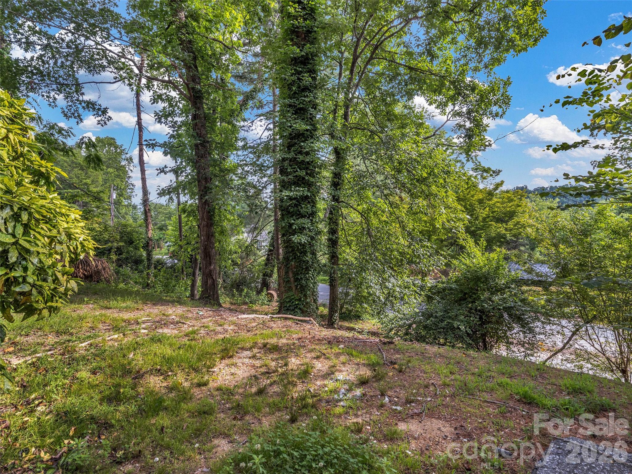 Greater Druid Hills - Residential