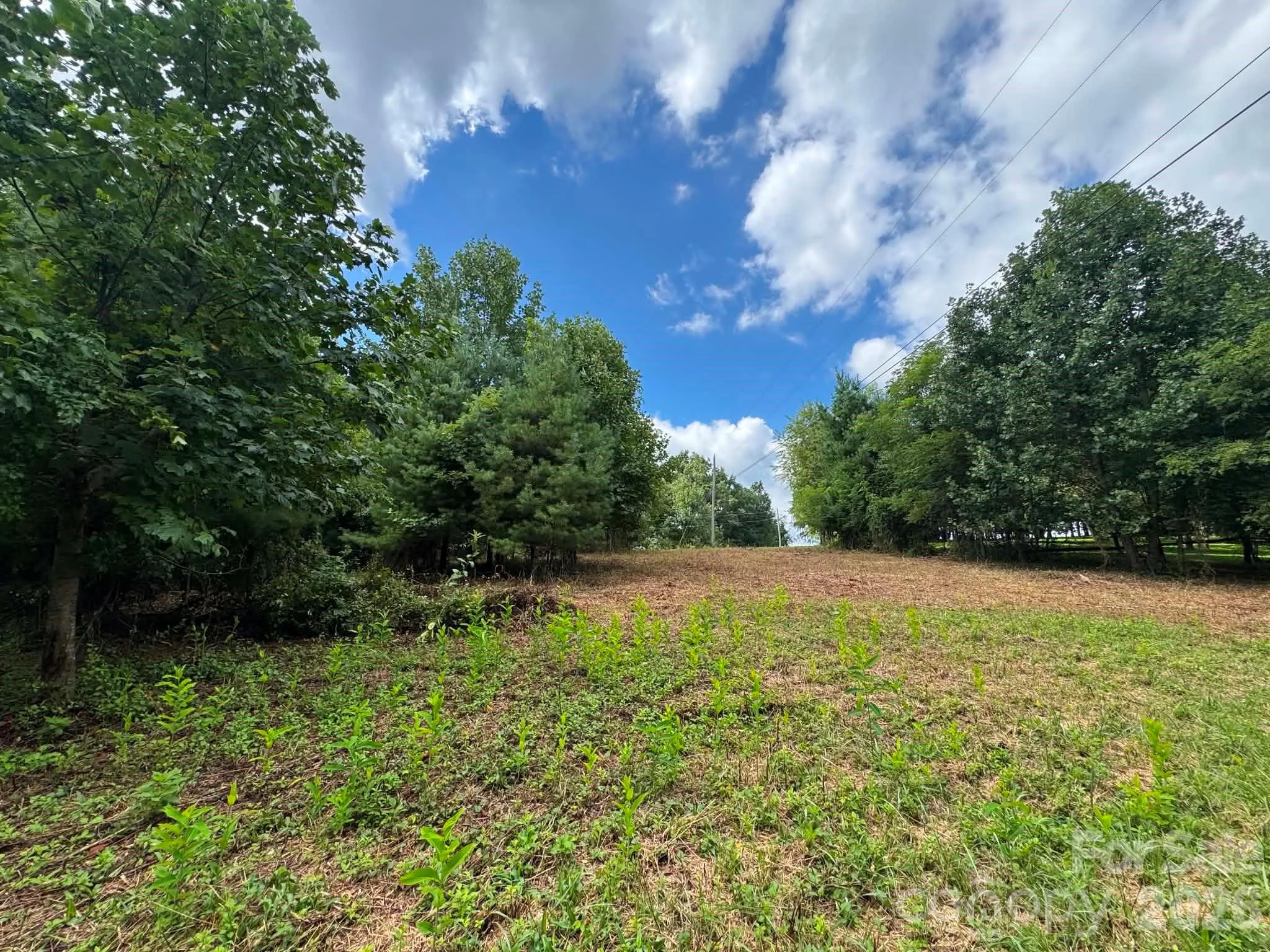 TBD Wind Ridge Road, Sparta, NC, 28675