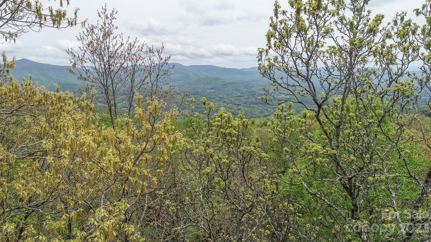 Fairview Forest - Residential